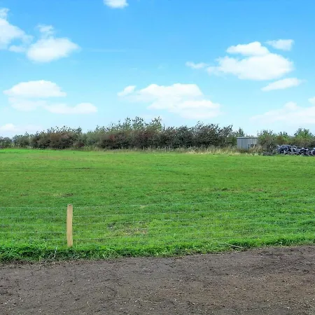 Dolfine - 15km From The Sea In Western Jutland By Interhome * Skaerbaek